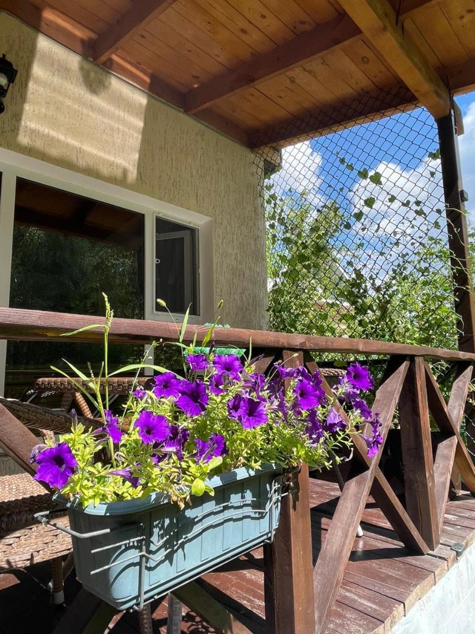 Bed and Breakfast Private Shchūchīnsk Esterno foto